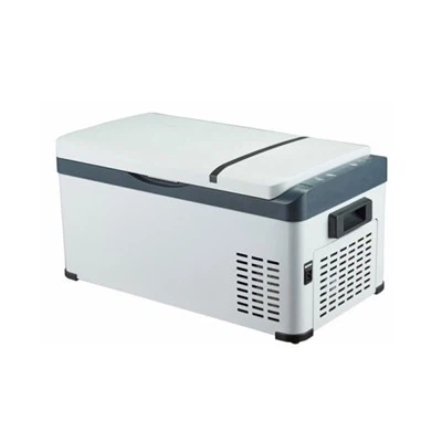 Mini koelkast vriezer voor vrachtwagen